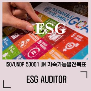 ESG/ISO/UNDP 53001 국제심사원